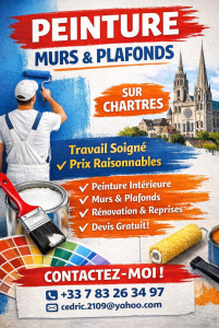 Photo de galerie - Réalisation de votre peinture intérieure, mur et plafond ainsi que porte