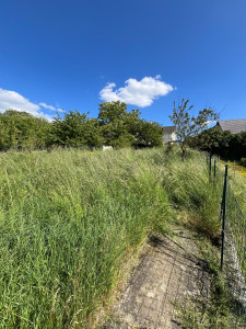 Photo de galerie - Tonte de pelouse - Débroussaillage