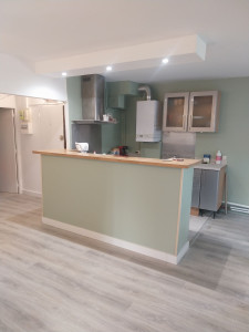 Photo de galerie - Peinture remise en état 