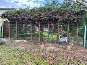 Photo de galerie - Clôture Grillage