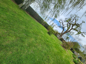 Photo de galerie - Élagage, taille de haie et tonte