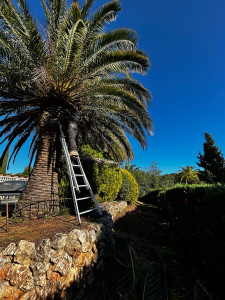 Photo de galerie - Paysagiste - Aménagement du jardin