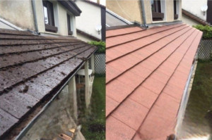 Photo de galerie - Avant et après notre intervention sur cette toiture, qui présentait une prolifération importante de lichen.