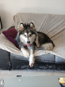 Photo de galerie - Rumi