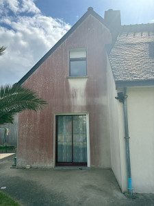 Photo de galerie - Pignon incrusté par une Agues rouge attaquant l’enduit en faisant des micros fissures et qui rend l’enduit pour eux laissant l’humidité s’infiltrer.