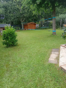 Photo de galerie - Tonte de pelouse 