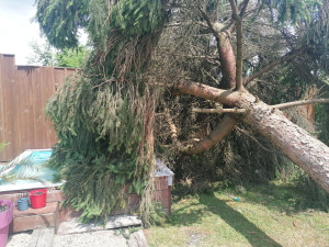 Photo de galerie - Arbre tombé lors de l'orage