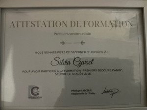 Photo de galerie - Attestation premiers secours canin