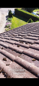 Photo de galerie - Couverture - Toiture