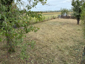 Photo de galerie - Tonte de pelouse - Débroussaillage