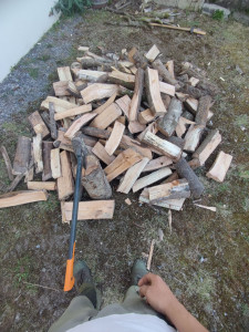 Photo de galerie - Arbre abattu et débité pour l'avoir ensuite fendu en buche pour le bois de chauffage. 