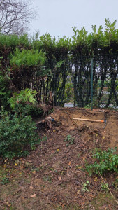 Photo de galerie - Jardinier