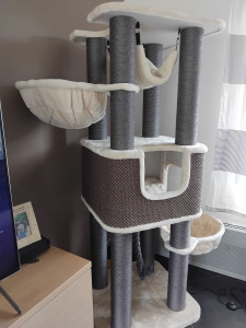 Photo de galerie - Arbre a chat des mes enfants