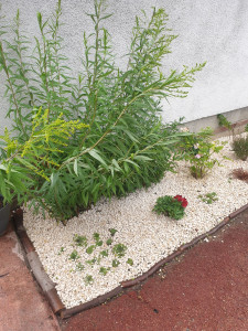 Photo de galerie - Jardinier