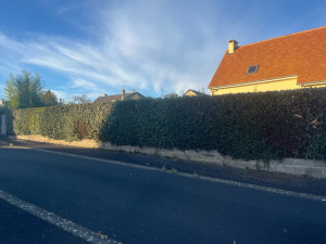 Photo de galerie - Taille de 60m de haie 