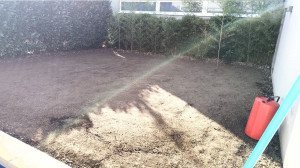 Photo de galerie - Terrassement après travaux pour planter du gazon à Gaillard 