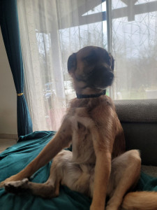 Photo de galerie - Tranquilou au canapé 