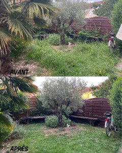 Photo de galerie - Entretien d'un jardin (nettoyage et tonte)