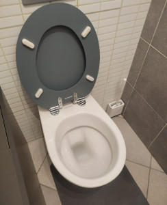 Photo de galerie - Nettoyage WC