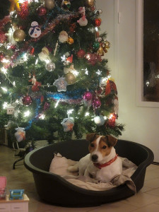 Photo de galerie - Oslo ?