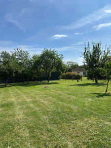 Photo de galerie - Tonte 