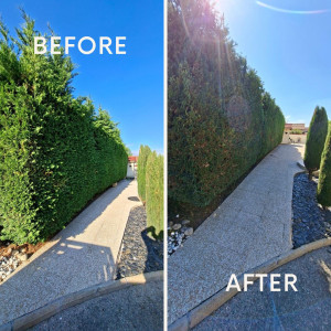 Photo de galerie - Taille de haie, 3,20m de haut 16m de long 
rabatu a 2,50 m de haut