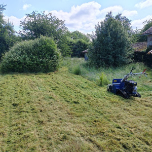 Photo de galerie - Tonte de pelouse - Débroussaillage