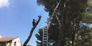 Photo de galerie - Nous envisageons un travail avec soi sérieux et de l'équipement professionnel