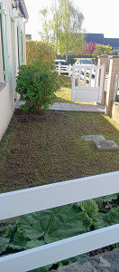 Photo de galerie - Scarification pelouse 