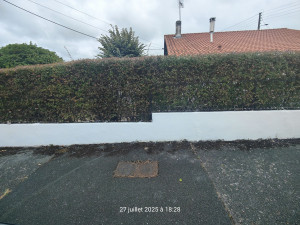 Photo de galerie - Clôture Grillage