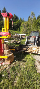 Photo de galerie - Elagage et coupe d'arbres