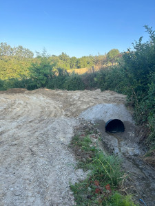 Photo de galerie - .