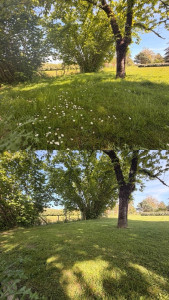 Photo de galerie - Tonte jardin 