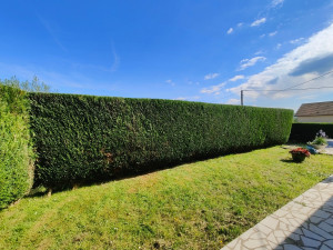 Photo de galerie - Taille de haie