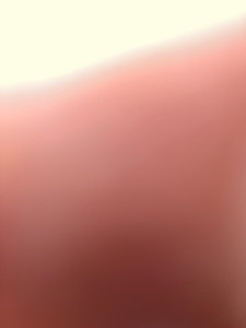 Photo de galerie - à