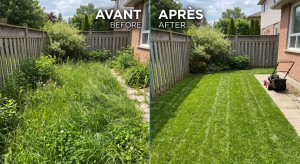 Photo de galerie - Tonte gazon et désherbage de qualité, travail soigné