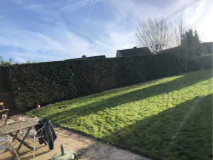 Photo de galerie - Taille