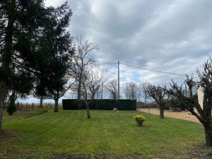 Photo de galerie - Tonte de pelouse - Débroussaillage