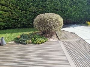 Photo de galerie - Taille de haies et d'arbustes