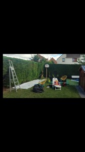 Photo de galerie - Taille de haies et d'arbustes