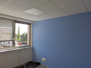 Photo de galerie - Peinture murale 