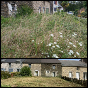 Photo de galerie - Debroussaillage d'herbe et de ronce 