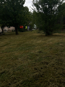 Photo de galerie - Jardinage 