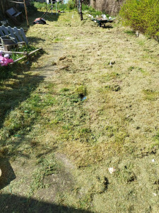 Photo de galerie - Jardinier