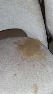 Photo de galerie - Nettoyage complet shampouineuse  + vapeur 
