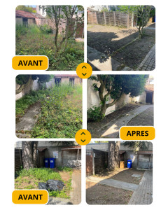 Photo de galerie - Présentation de jardinage