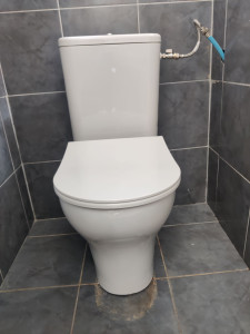 Photo de galerie - Remplacement WC 