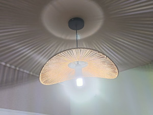 Photo de galerie - Changement de lustre dans un couloir d'entrée et remplacement de l'ampoule par une ampolule LED 7W 6500k pour un éclairage de qualité 