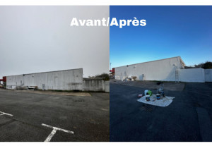 Photo de galerie - Peinture - Tapisserie