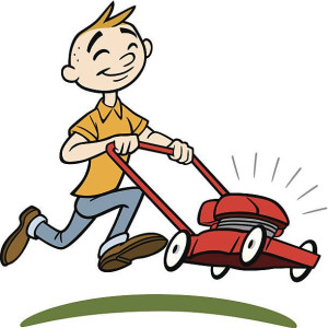 Photo de galerie - Bonjour je suis disponible pour la tonte de pelouse merci travail très soigné 